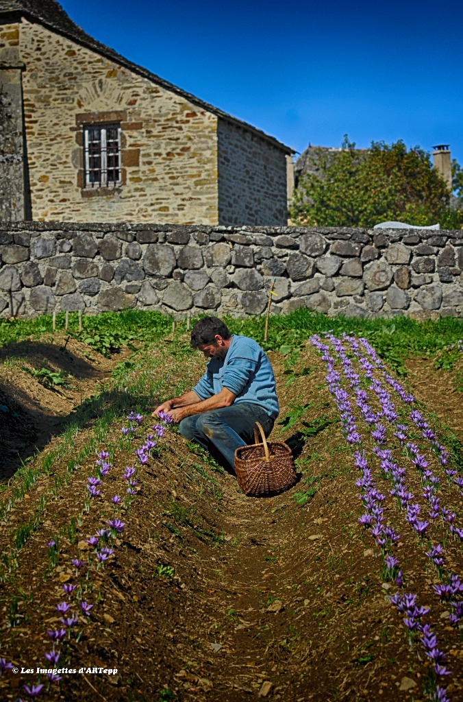 La ceuillette
Photo : Les Imagettes d'ARTepp