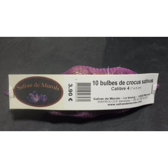 Bulbe de crocus sativus calibre 4