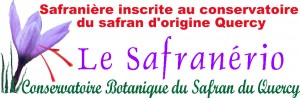 Le conservatoire botanique du safran d’origine Quercy